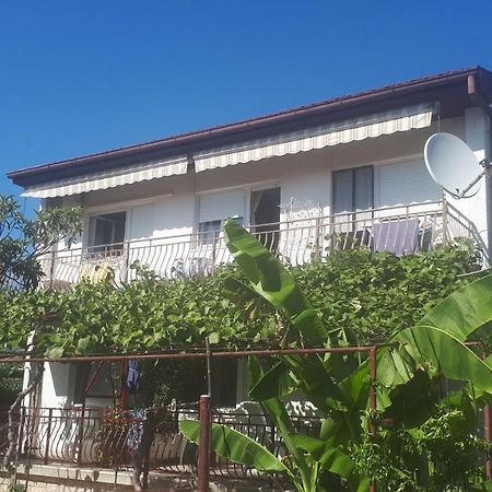 Levak Apartments - Apt. 1 Pjescana Uvala Dış mekan fotoğraf
