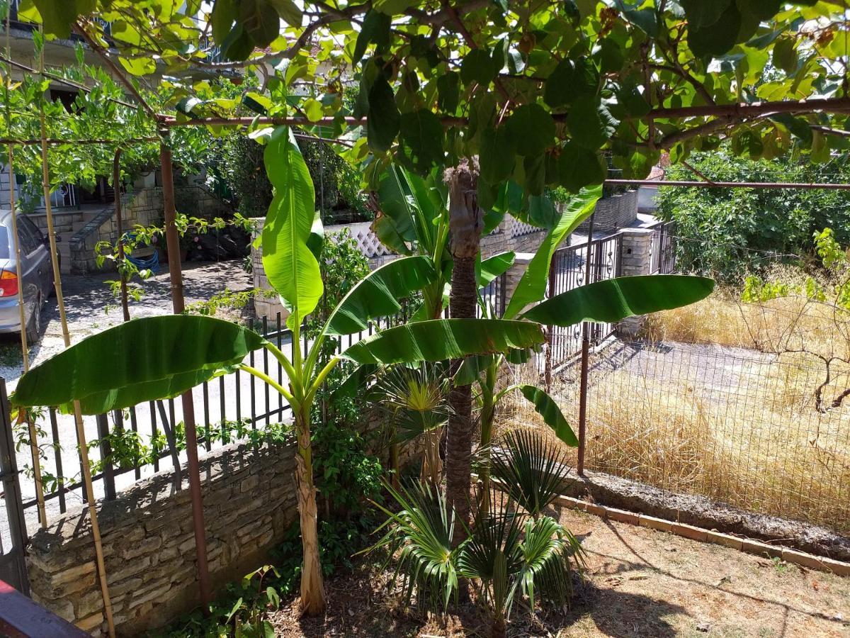 Levak Apartments - Apt. 1 Pjescana Uvala Dış mekan fotoğraf