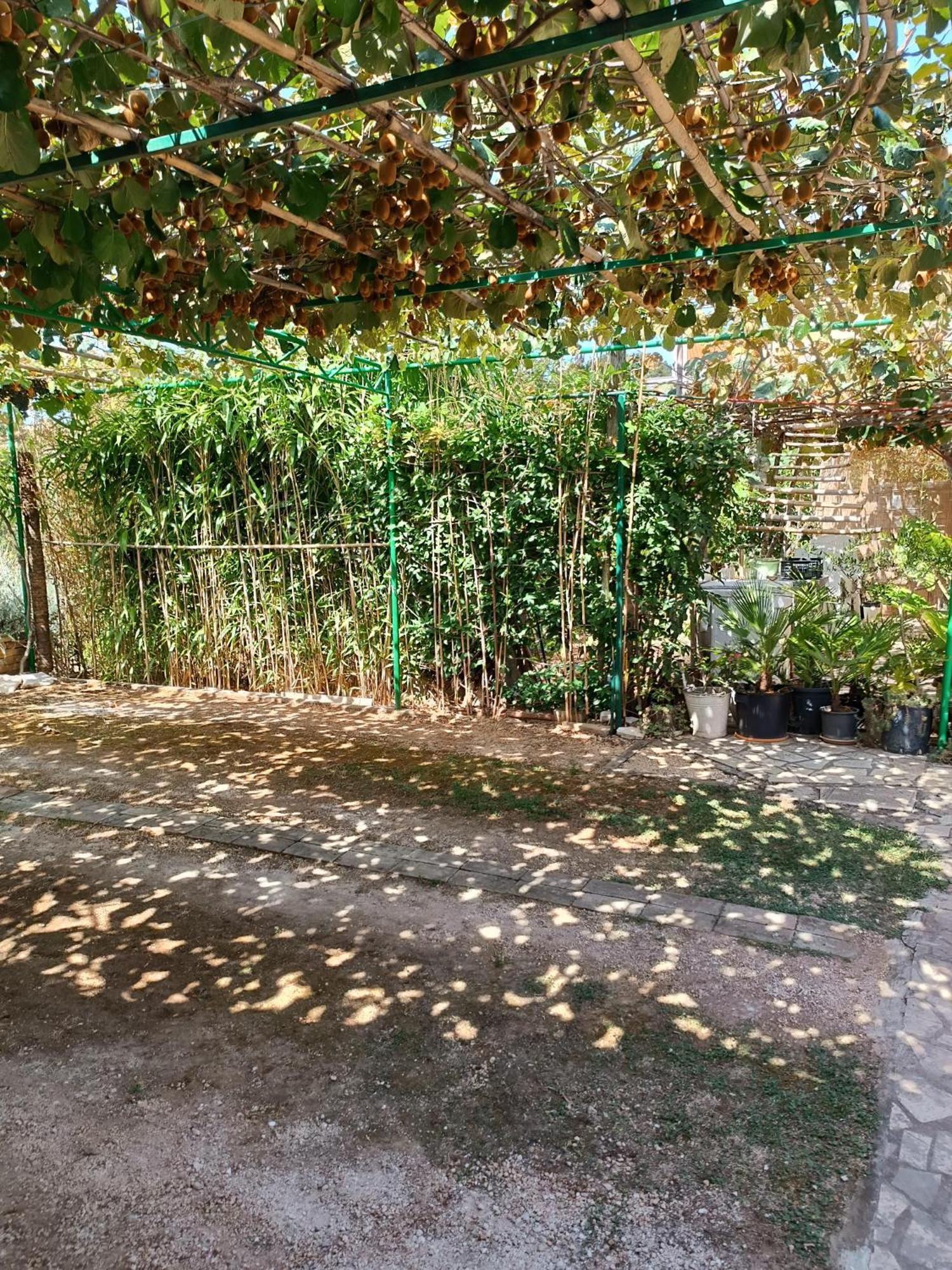 Levak Apartments - Apt. 1 Pjescana Uvala Dış mekan fotoğraf