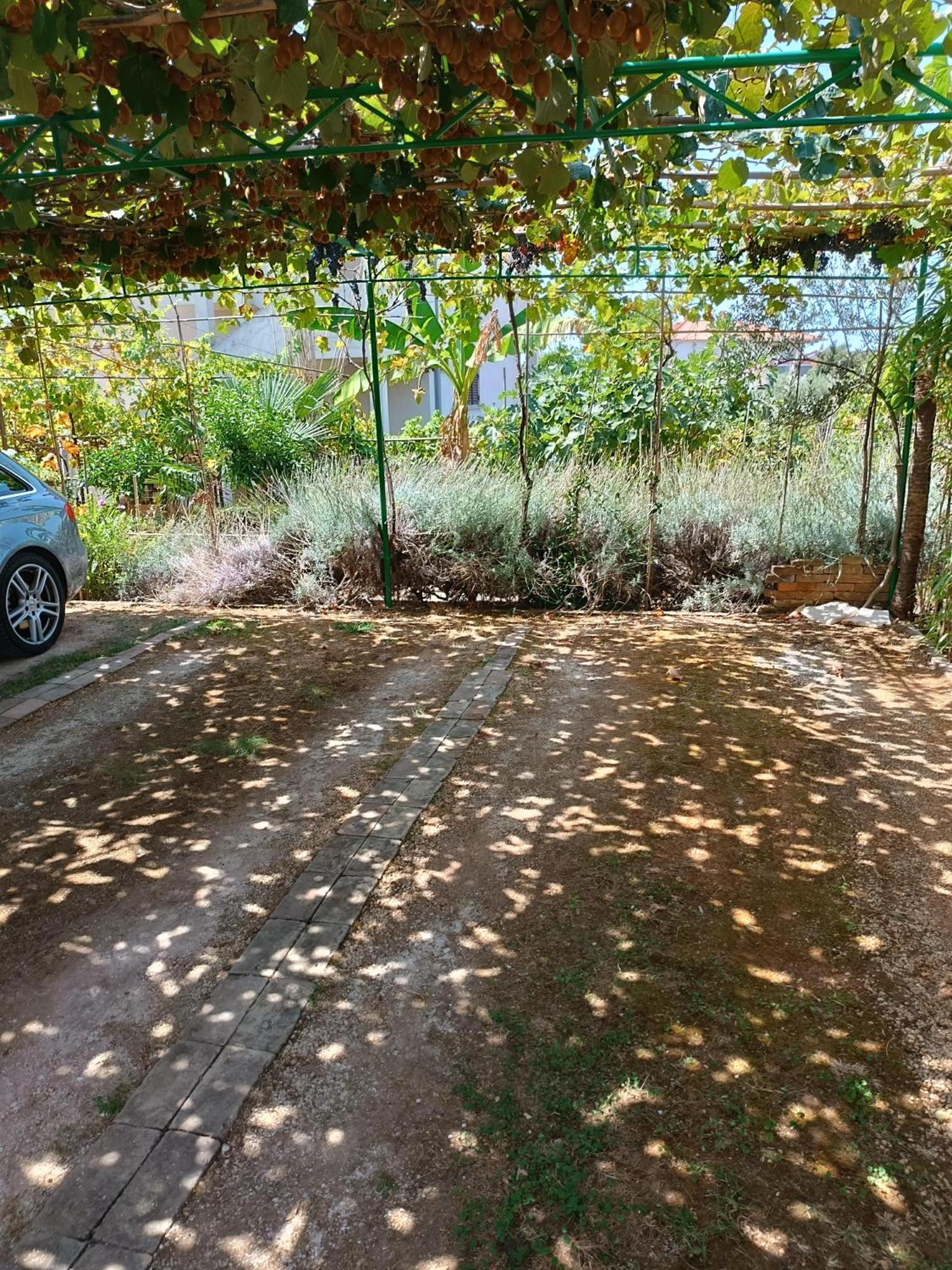 Levak Apartments - Apt. 1 Pjescana Uvala Dış mekan fotoğraf